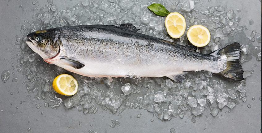Global Salmon Market Driven by Expansion of Product Line by Manufacturers