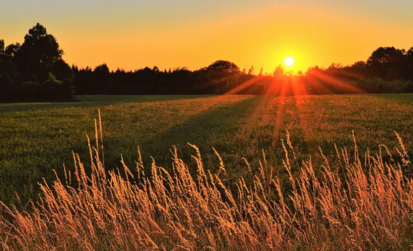 Agriculture and Farming